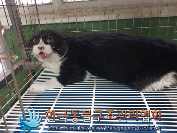 종료(자연사) 한국…